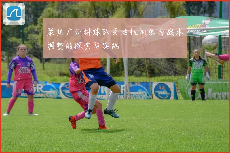 聚焦广州排球队灵活性训练与战术调整的探索与实践