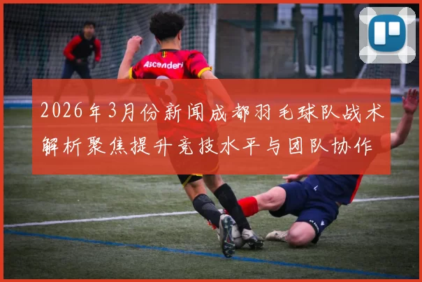 2026年3月份新闻成都羽毛球队战术解析聚焦提升竞技水平与团队协作能力的策略探讨
