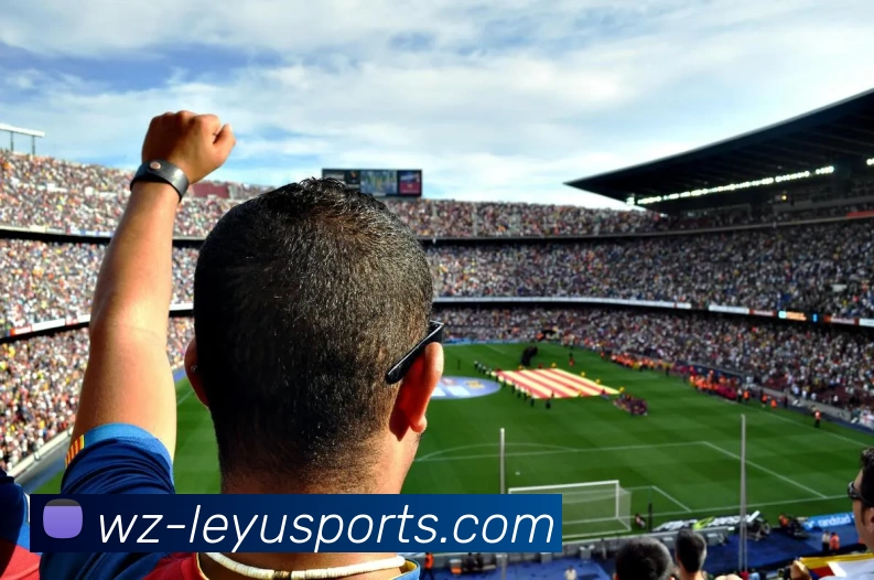 多媒体互动体验