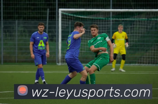 乐鱼APP 高清赛事图